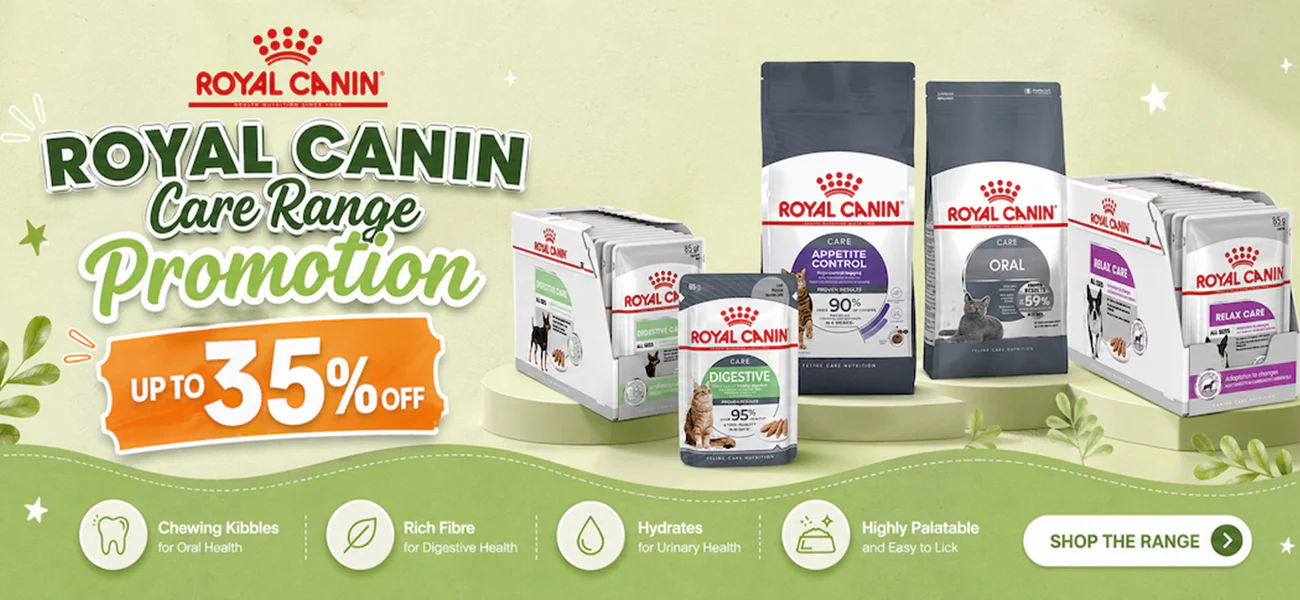 Elevate Your Pet's Lifestyle