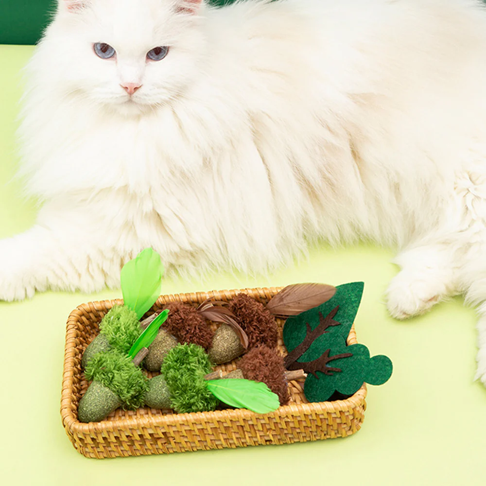 Acorn Catnip Cat Molar Stick Toy - Image 3