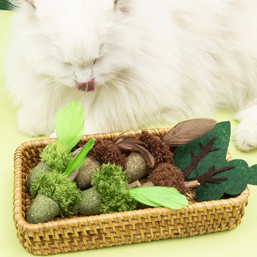 Acorn Catnip Cat Molar Stick Toy - Image 6