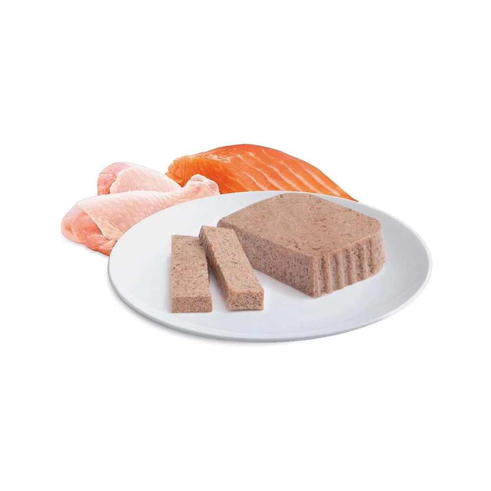 ADVANCE Chicken and Salmon Cat Food for Kittens 7x85g - Image 7