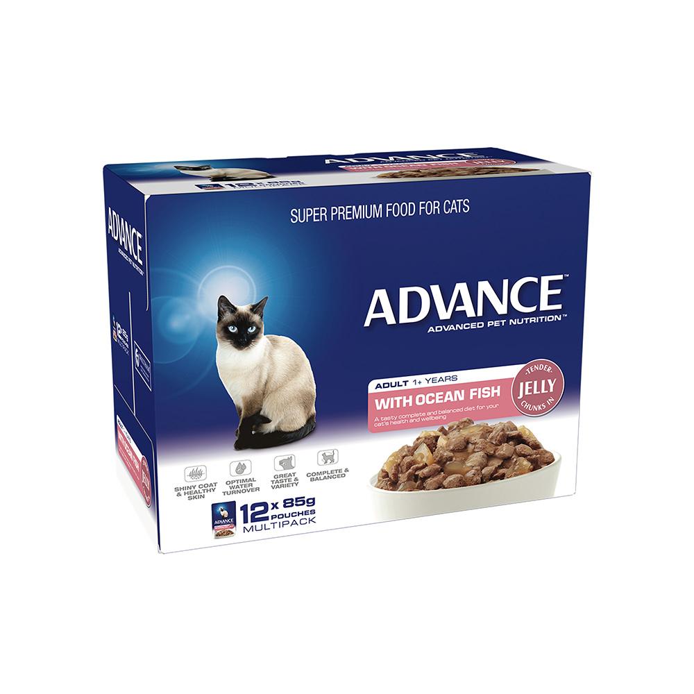 ADVANCE Ocean Fish Jelly Cat Food for Adult Cats 12x85g - Image 5