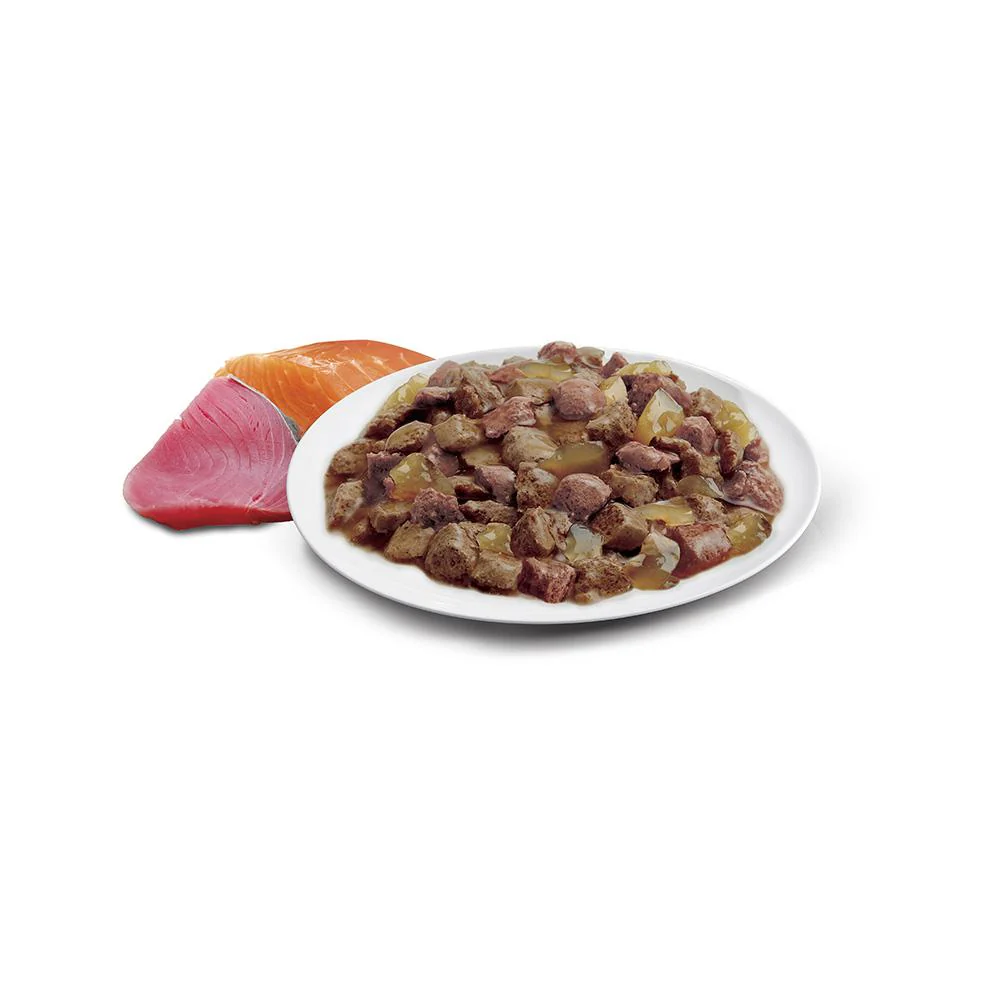 ADVANCE Ocean Fish Jelly Cat Food for Adult Cats 12x85g - Image 7