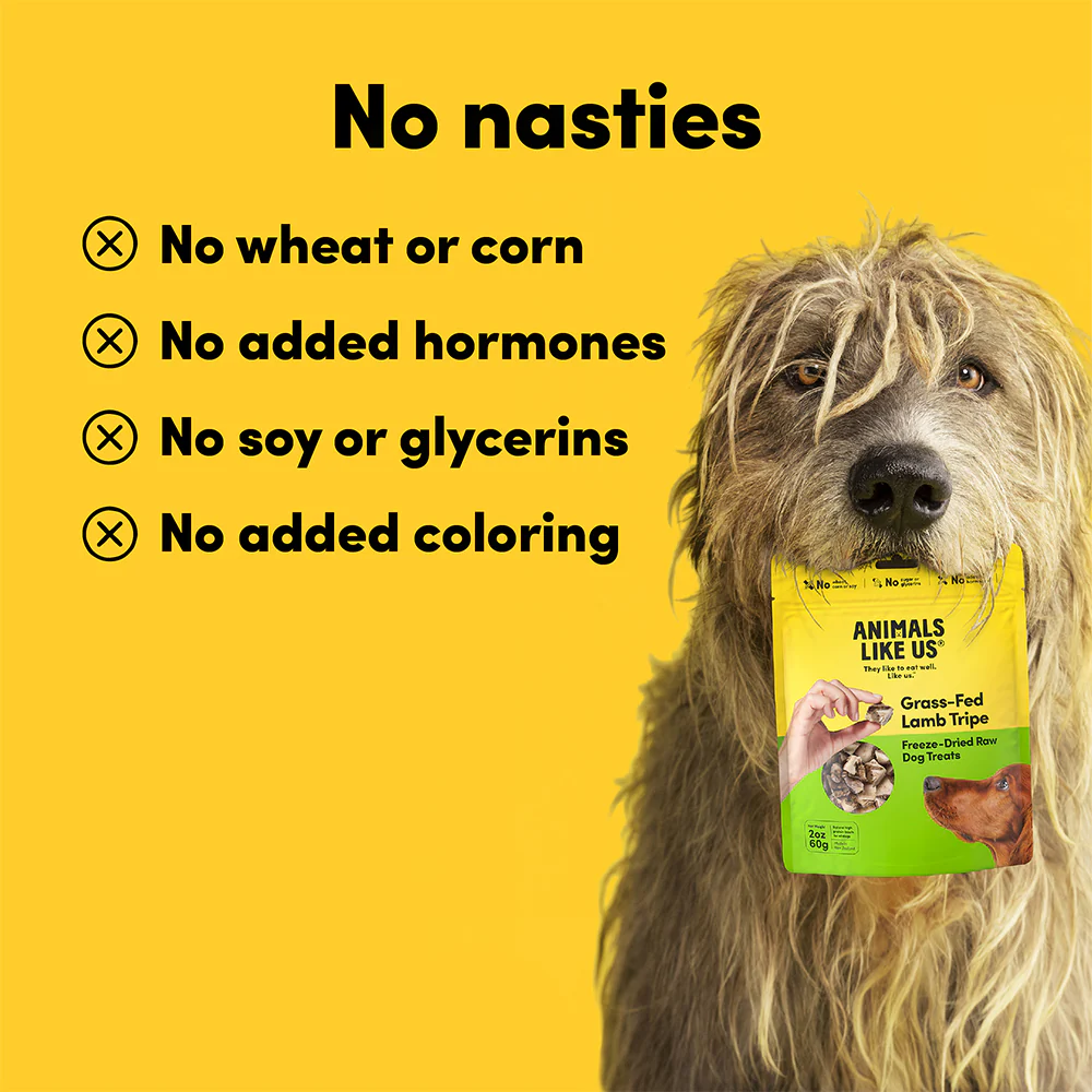 ANIMALS LIKE US Grass Fed Lamb Tripe Freeze Dried Raw Dog Treats 60g - Image 6