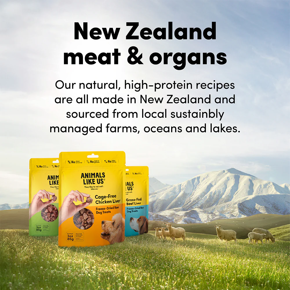 ANIMALS LIKE US Grass Fed Lamb Tripe Freeze Dried Raw Dog Treats 60g - Image 8
