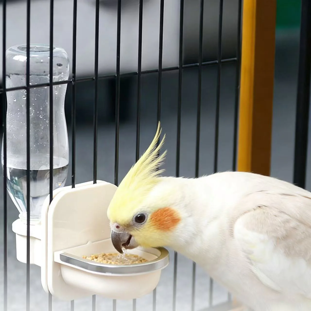 Auto-Fill Hanging Water Bottle for Cages: Perfect for Cats, Birds & Small Pets - Image 4
