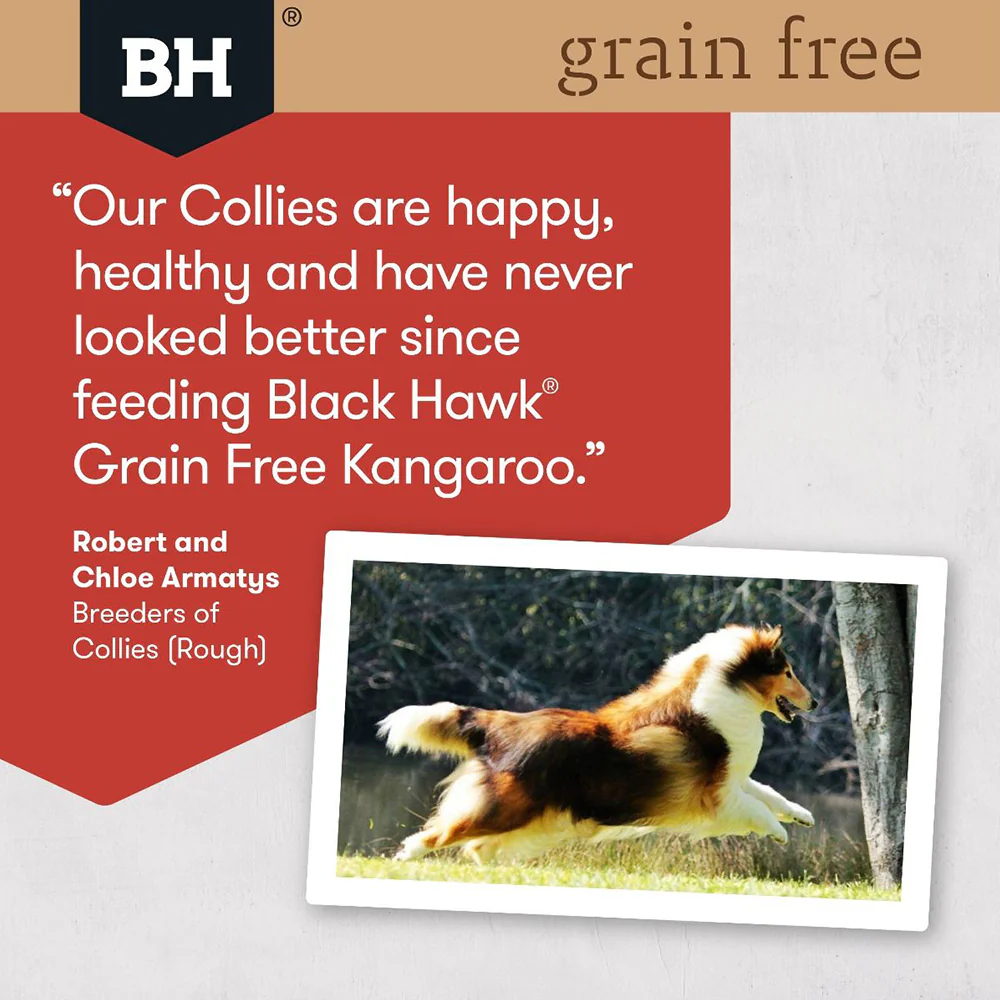 BLACK HAWK Grain Free Kangaroo Adult Dry Dog Food 15kg - Image 10