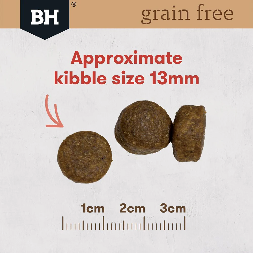 BLACK HAWK Grain Free Kangaroo Adult Dry Dog Food 15kg - Image 11