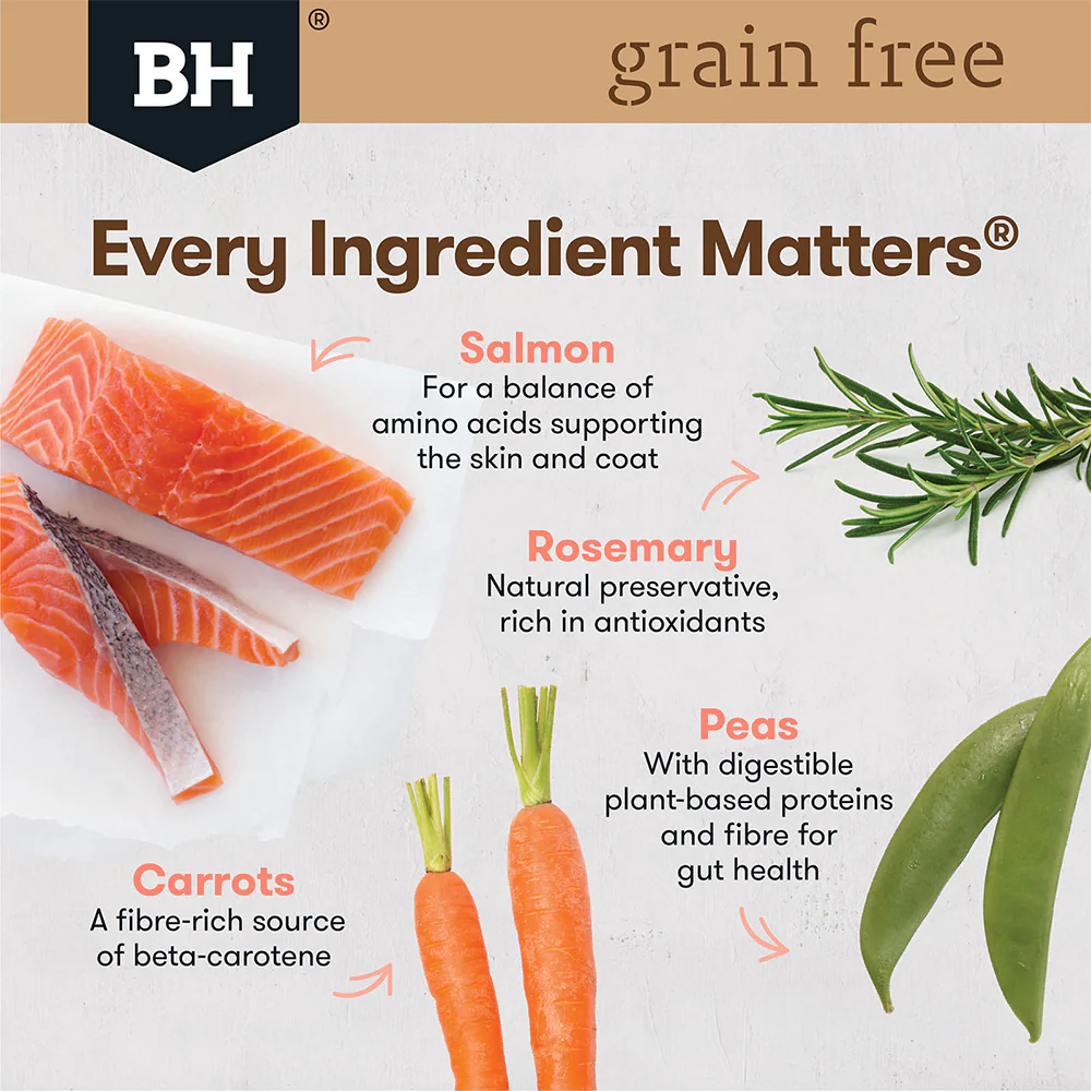 BLACK HAWK Grain Free Salmon Adult Dry Dog Food 15kg - Image 4