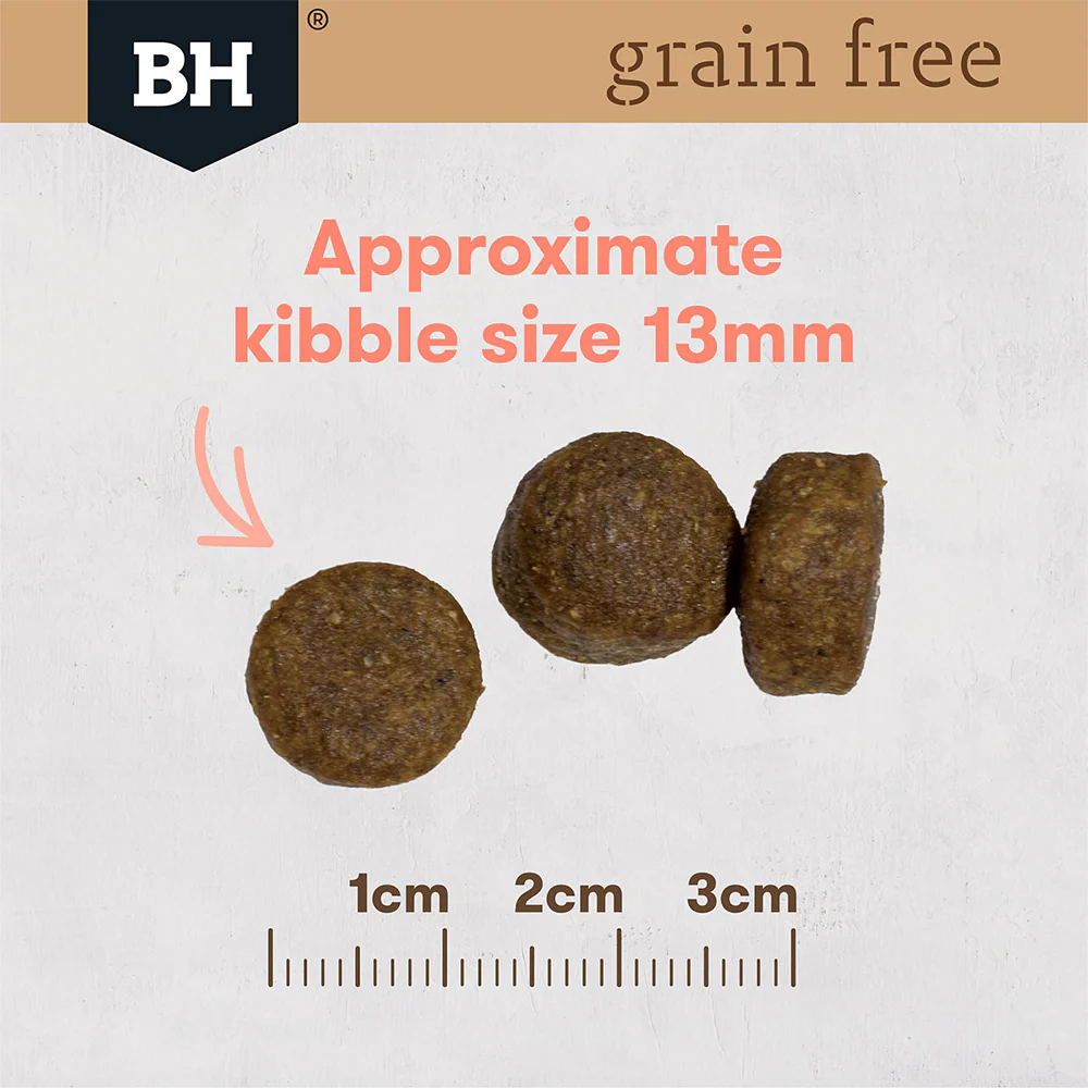 BLACK HAWK Grain Free Salmon Adult Dry Dog Food 15kg - Image 9