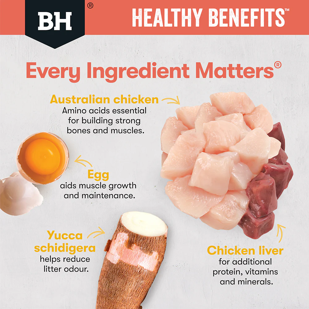 BLACK HAWK Healthy Benefits Chicken Indoor Adult Cat Food - Image 7