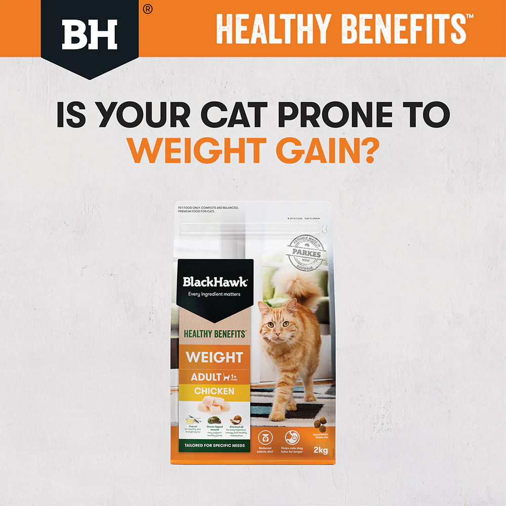 BLACK HAWK Healthy Benefits Chicken Weight Adult Cat Food - Image 11