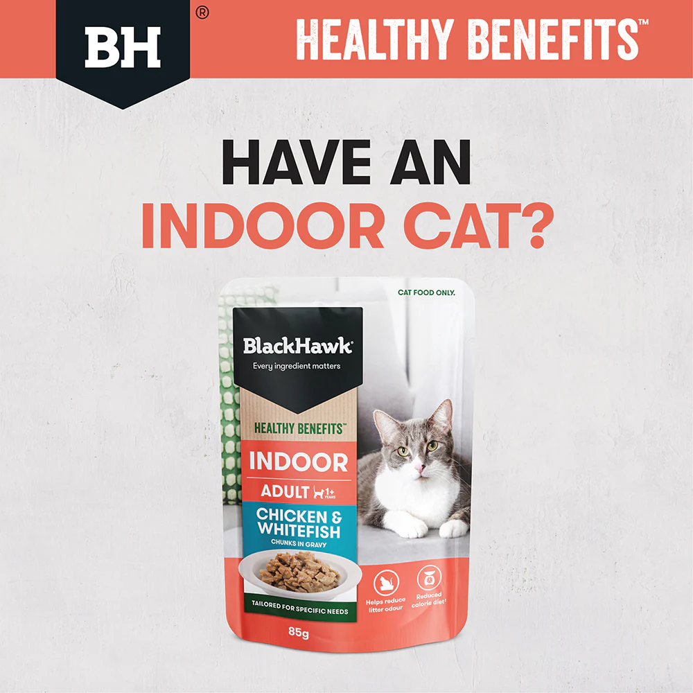 BLACK HAWK Chicken & Whitefish in Gravy Indoor Adult Wet Cat Food - Image 5