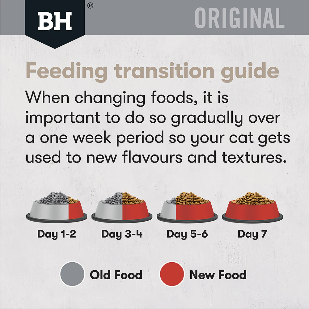 BLACK HAWK Original Chicken & Kangaroo Adult Cat Food - Image 9