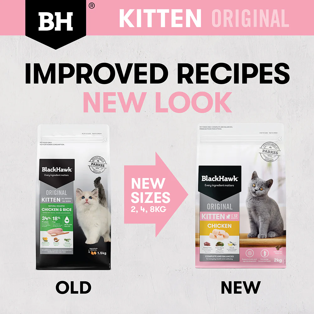 BLACK HAWK Original Chicken Kitten Cat Food - Image 11