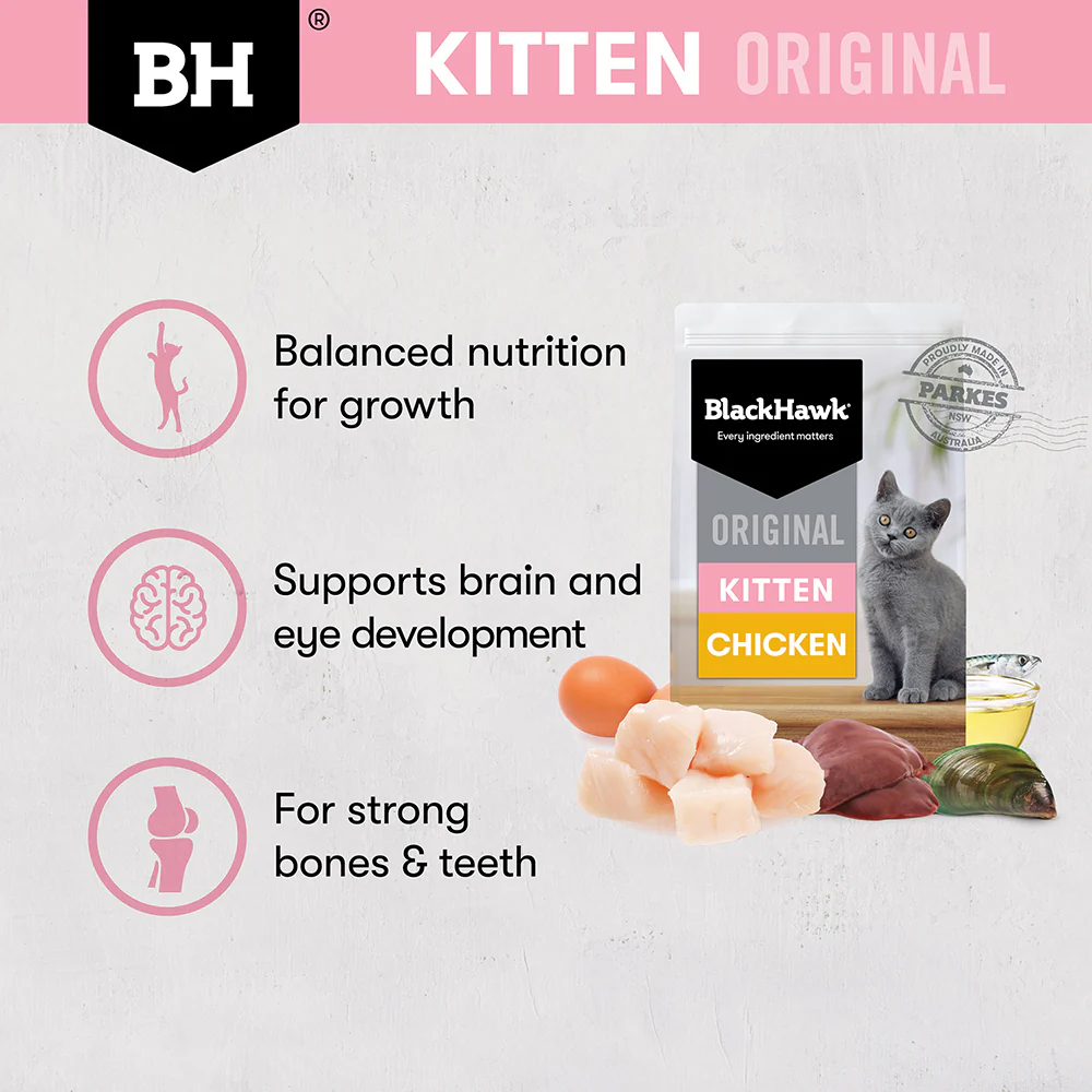 BLACK HAWK Original Chicken Kitten Cat Food - Image 12