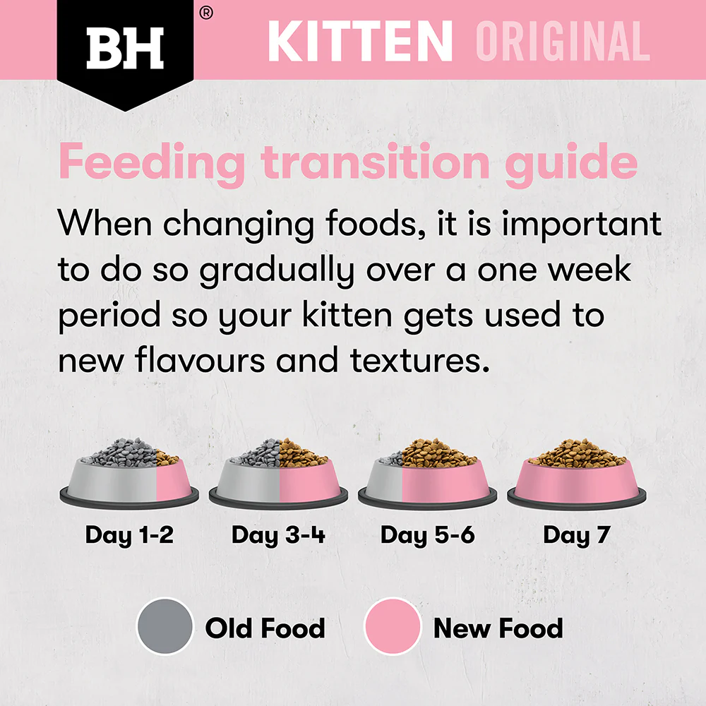 BLACK HAWK Original Chicken Kitten Cat Food - Image 8