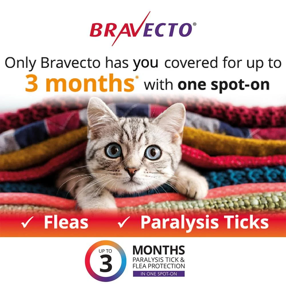 BRAVECTO For Medium Cats 2.8-6.25kg 2 pipettes - Image 5