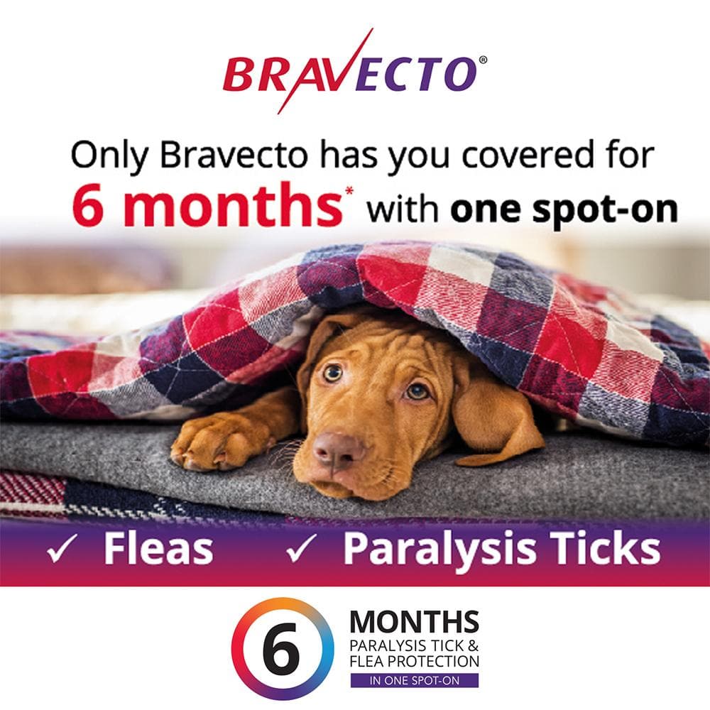BRAVECTO For Medium Dogs 10-20kg 1 Pipette - Image 4