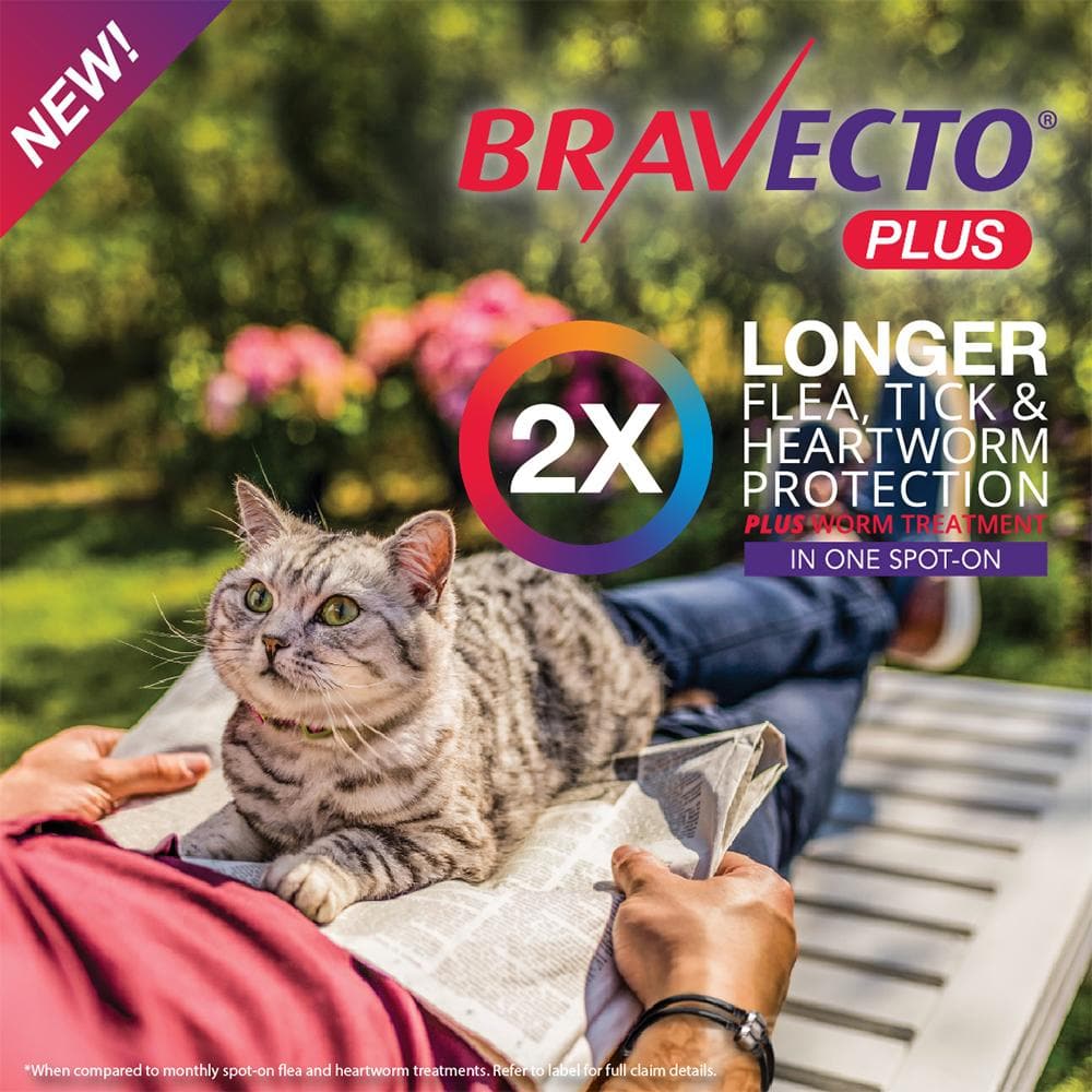 BRAVECTO Plus For Small Cats 1.2-2.8kg 1 pipette - Image 4