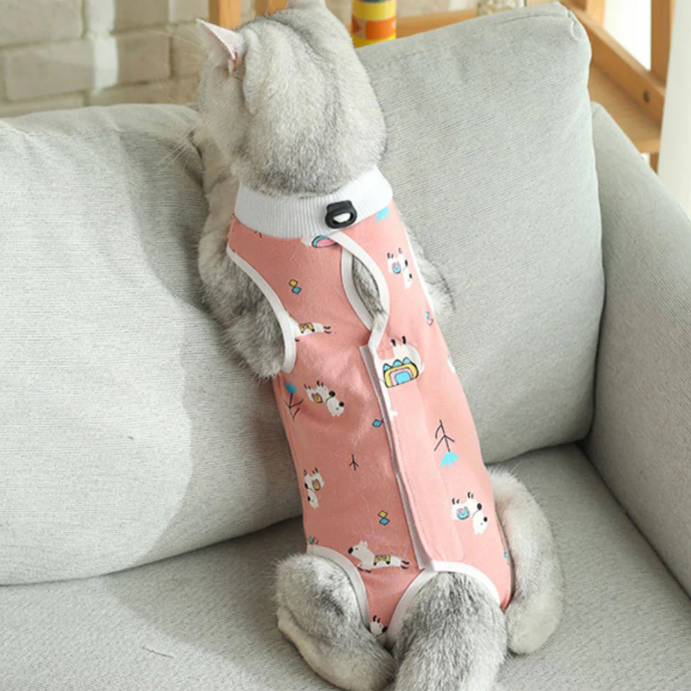Cartoon Cat Pet Clothes - Random Shipment - Image 9
