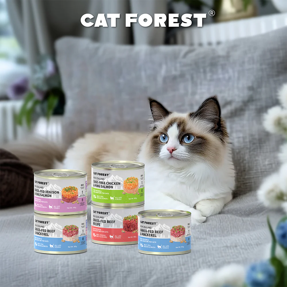 CAT FOREST Grass-Fed Beef Wet Cat Canned Food - Image 4