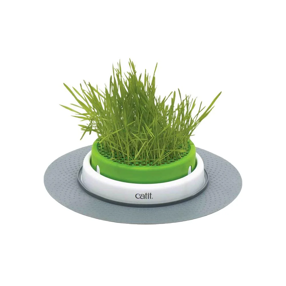 CATIT 2.0 Catgrass Seed - Image 2