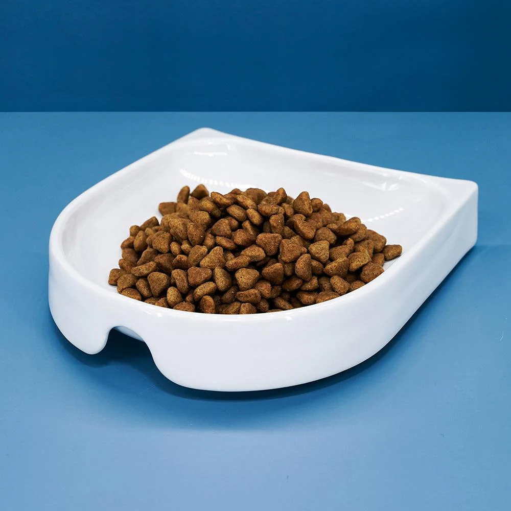 CATLINK Ceramic Bowl for CATLINK ONE - Pet AI Feeder - Image 5