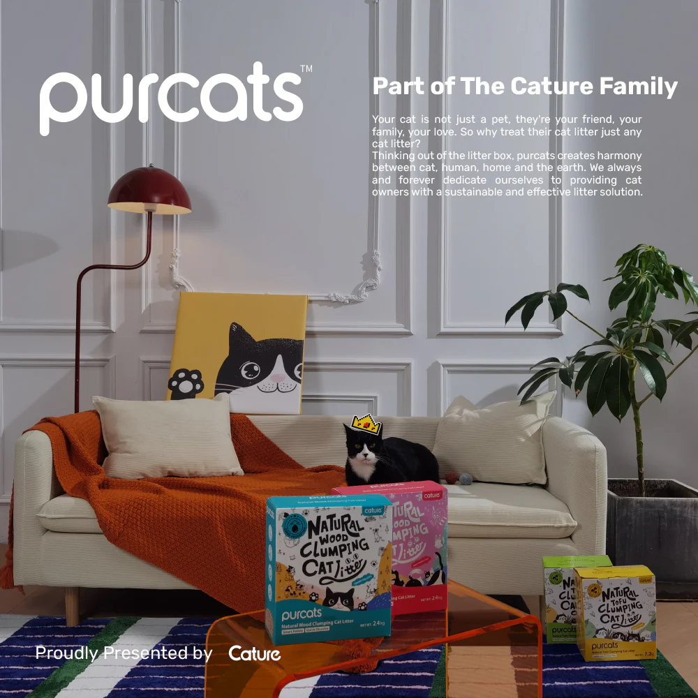 CATURE Mixed Tofu & Bentonite Clumping Cat Litter 2.5kg, Fast Clumping & Dust Free - Image 3