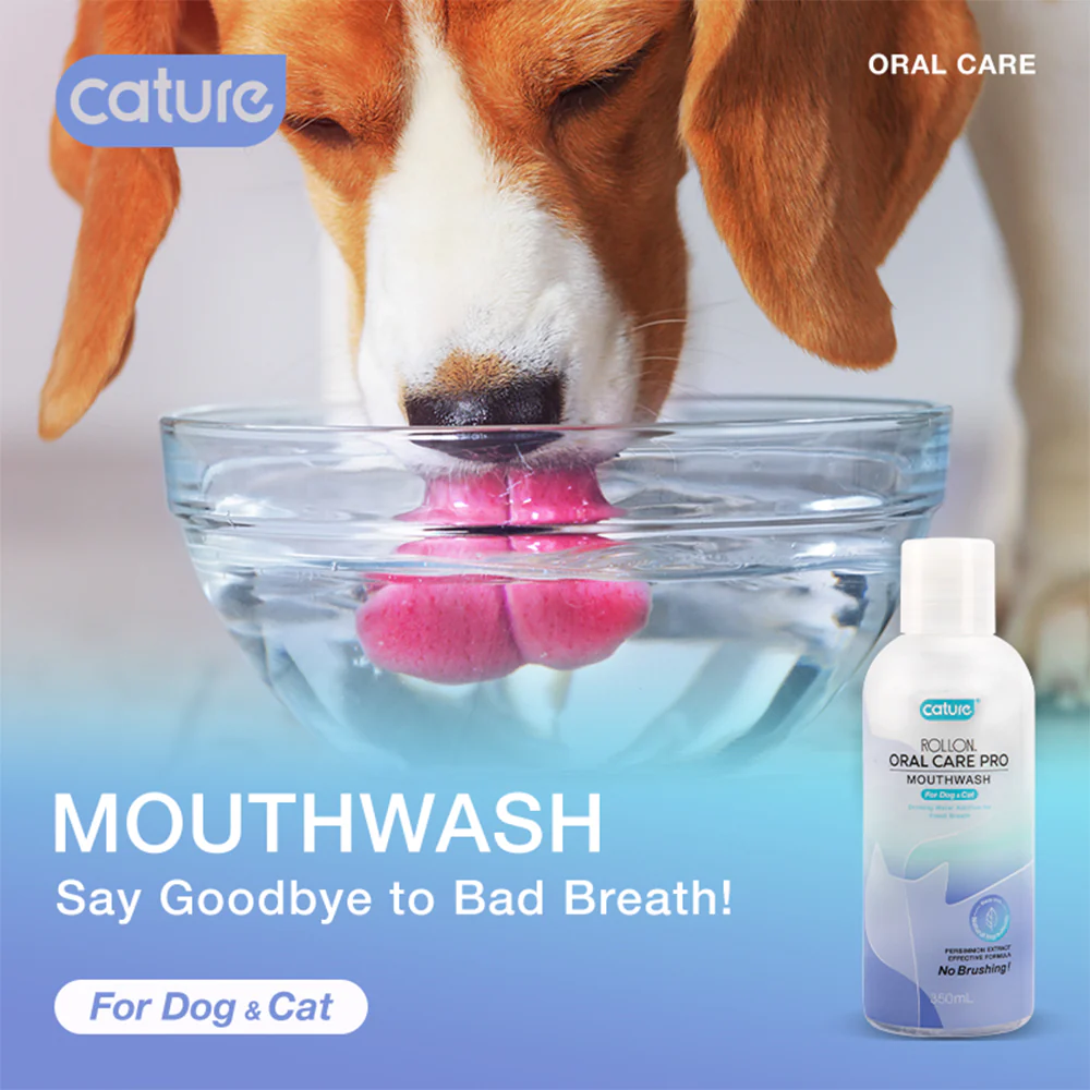 CATURE Mouthwash 350ml - Image 4