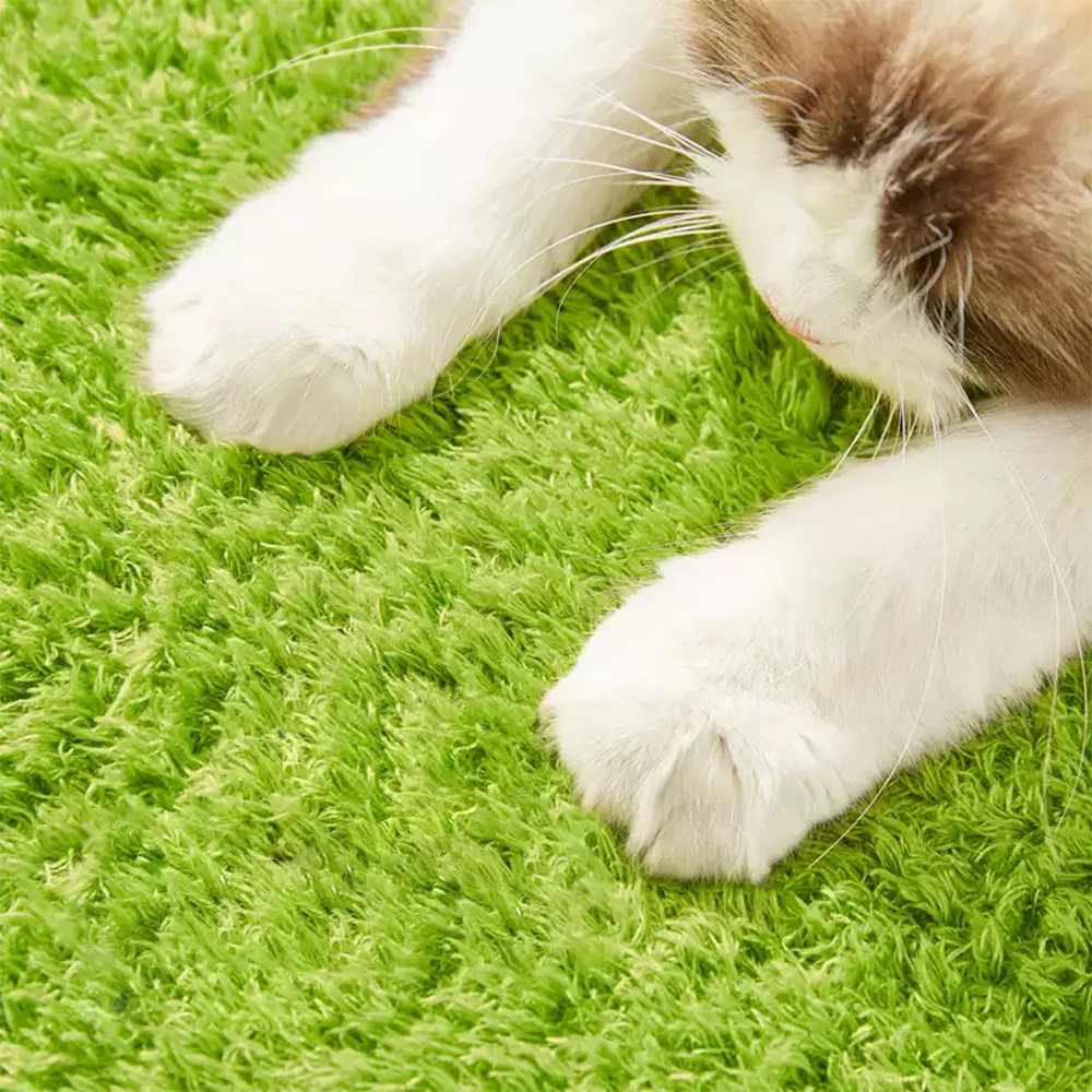 CMISSTREE Avocado Multi-Functional Cat Scratching Post And Bed - Image 7