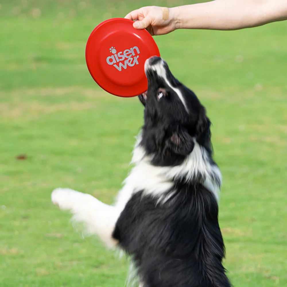 Durable Dog Flying Disc – Chew-Resistant Fetch Toy 18cm - Image 13
