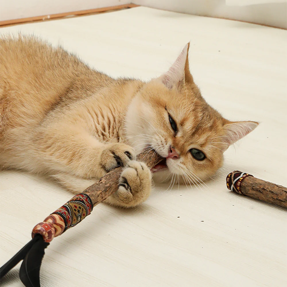 EDEN PET Silvervine Stick Feather Cat Teaser - Image 2