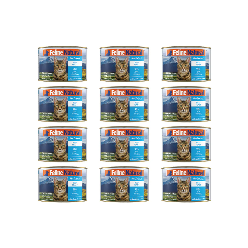 FELINE NATURAL Beef Feast Grain Free Cat Food - Image 12