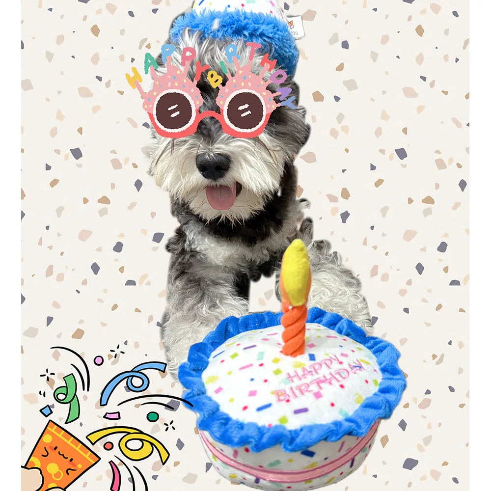 FOFOS Birthday Cake Plush Squeaky Dog Toy - Image 6
