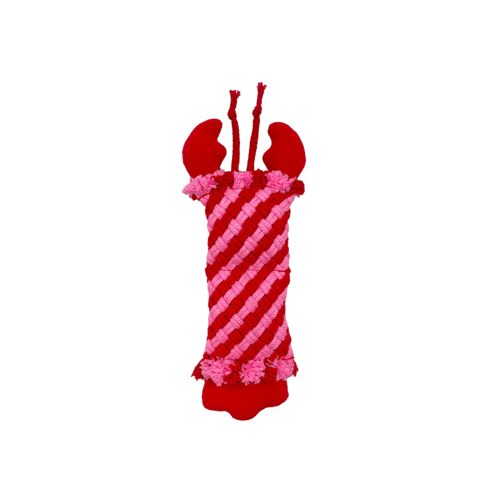 FOFOS Dog Rope Puppy Toy - Lobster - Image 5