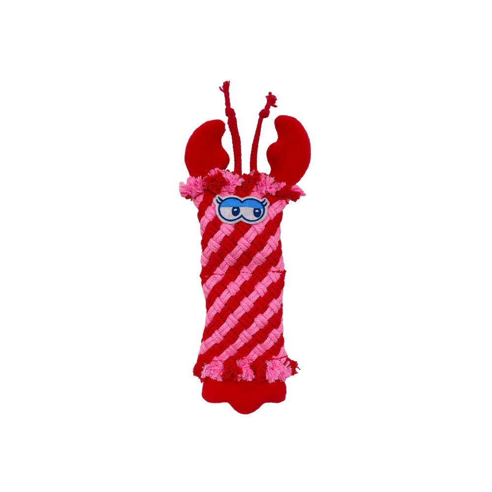 FOFOS Dog Rope Puppy Toy - Lobster - Image 6