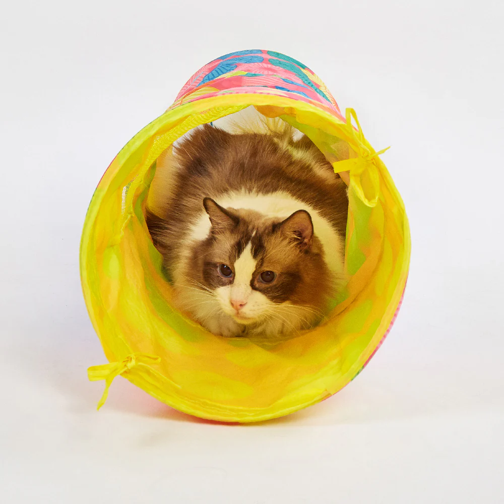 FOFOS Floral Pop-up Tunnel Cat Toy - Image 3