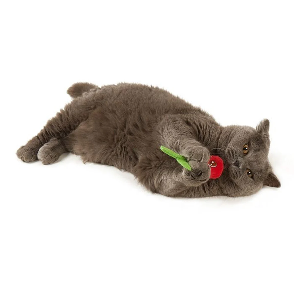 FOFOS Flower Bud Cat Toy 1pc - Random Color - Image 3