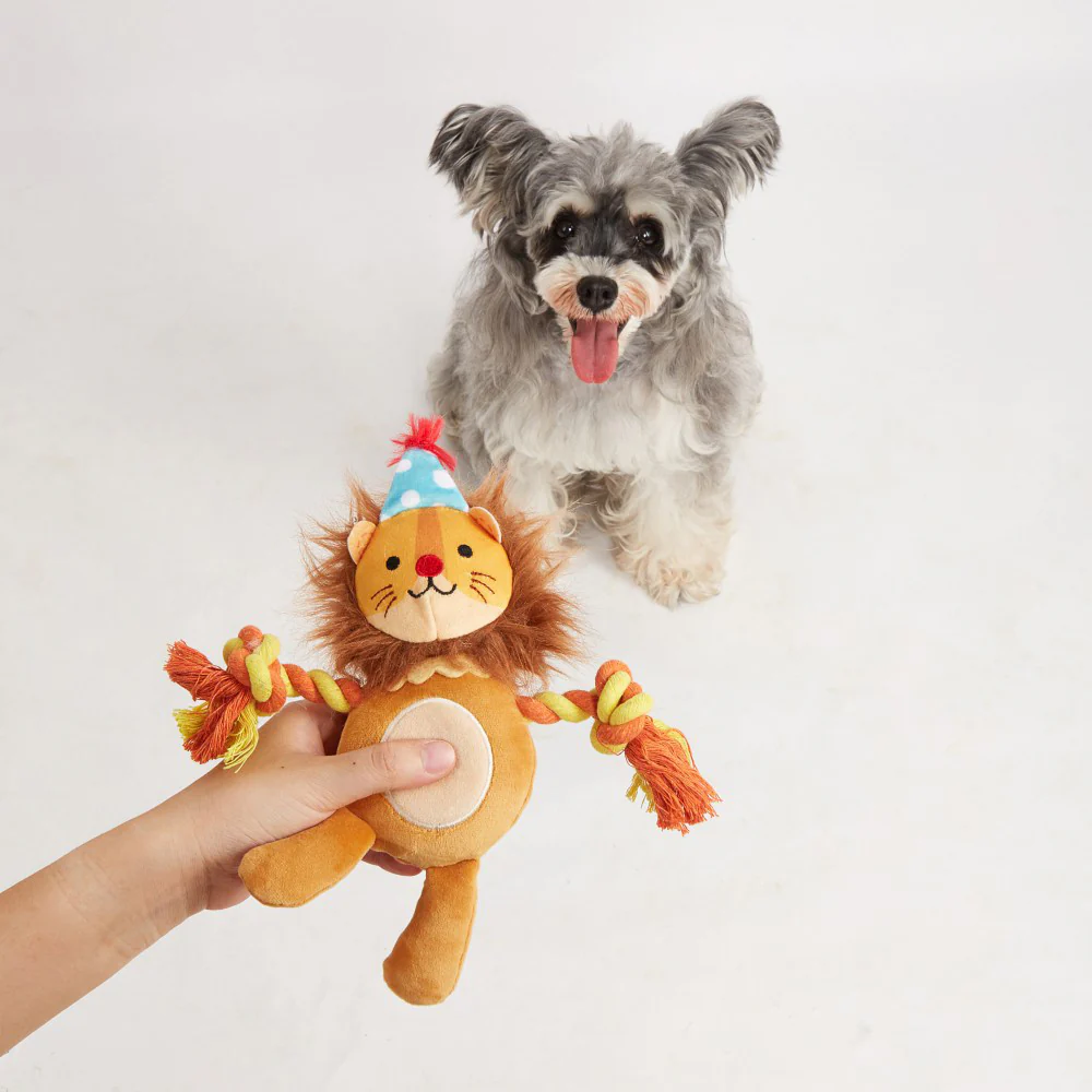 FOFOS Fluffy Lion Puppy Toy - Image 2