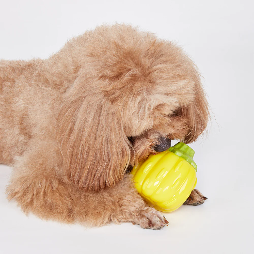 FOFOS Giggling Vegi-Bites Dog Toy - Pumpkin - Image 3