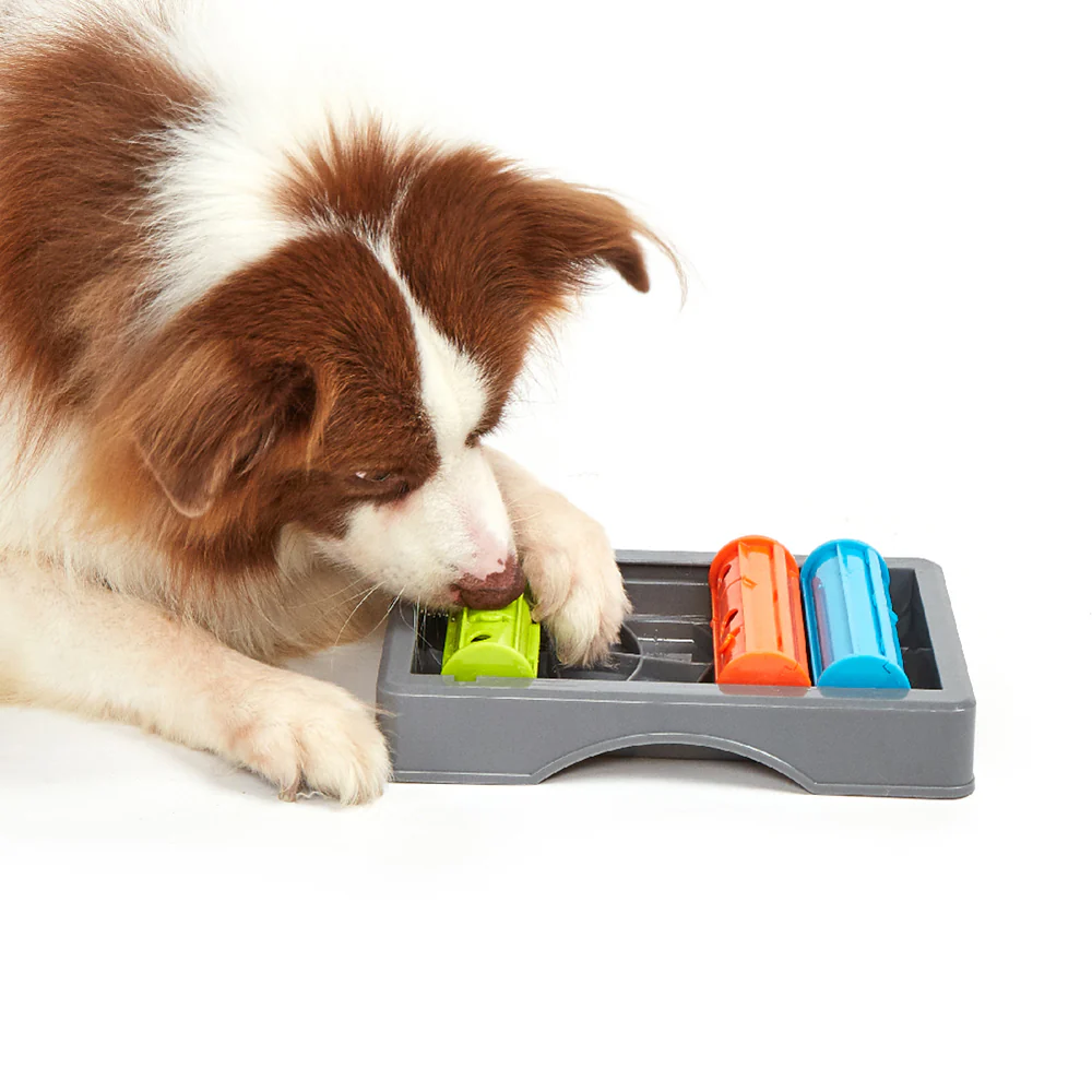 FOFOS Interactive Treat Puzzle Dog Toy - Image 3