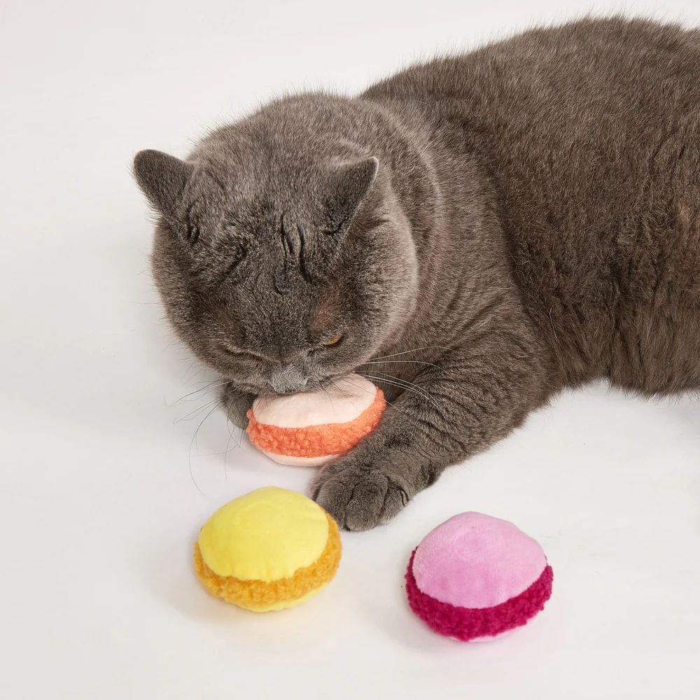FOFOS Macaron Assorted Cat Toy 1pc - Random Color - Image 4
