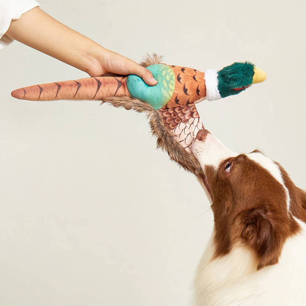 FOFOS Pheasant Plush Squeaky Dog Toy - Image 4
