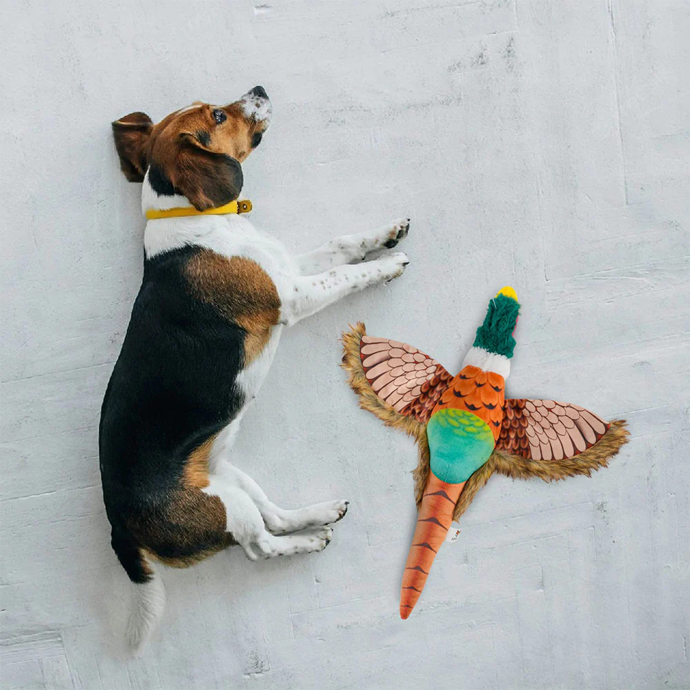 FOFOS Pheasant Plush Squeaky Dog Toy - Image 5