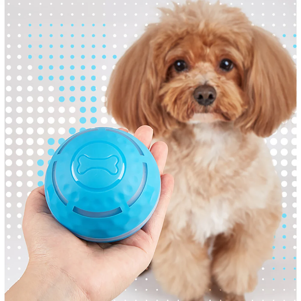 FOFOS Rolling & Flashing Interactive Ball Dog Toy - Image 2