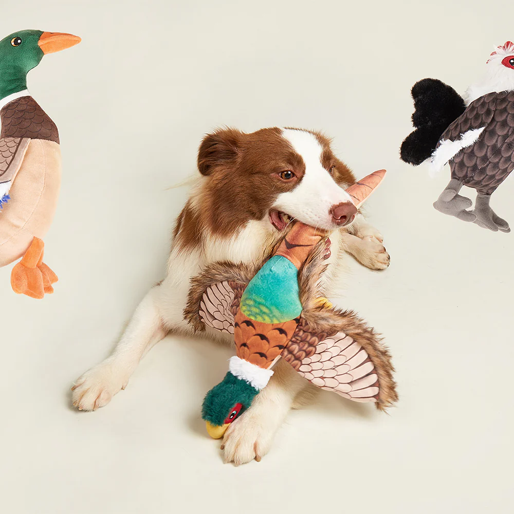 FOFOS Rooster Plush Squeaky Dog Toy - Image 6