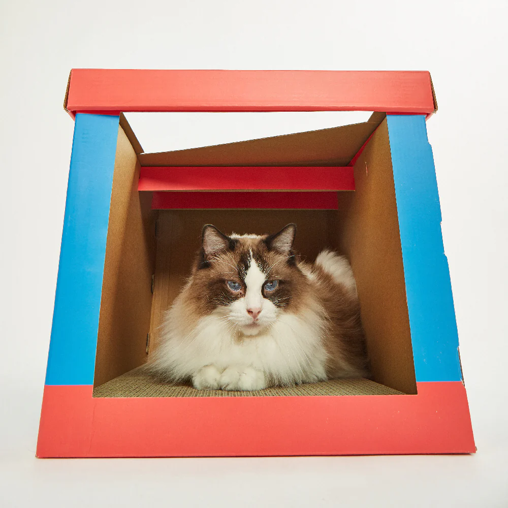 FOFOS Sardine Canned Box Cat Scratcher - Image 5