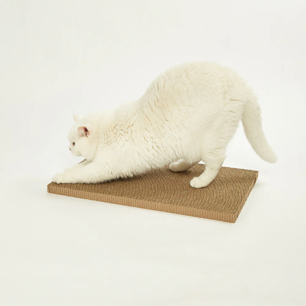 FOFOS Sardine Canned Box Cat Scratcher - Image 8