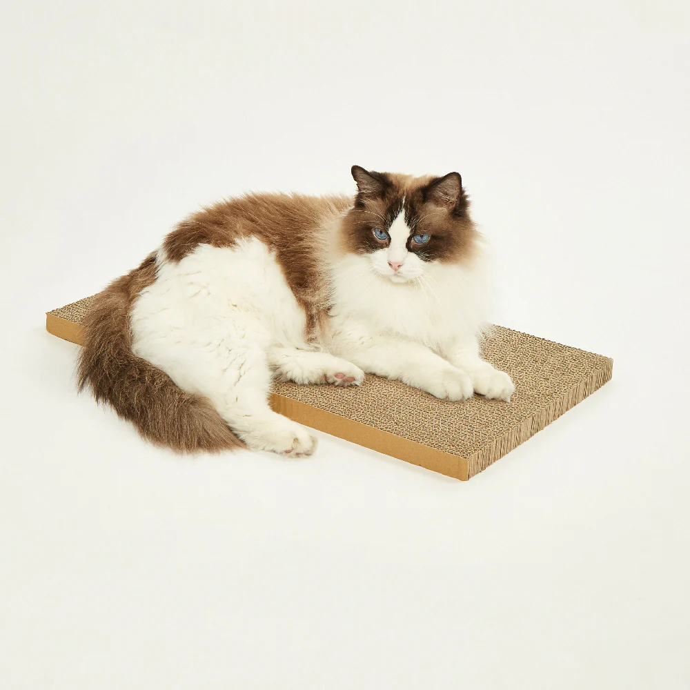 FOFOS Sardine Canned Box Cat Scratcher - Image 9