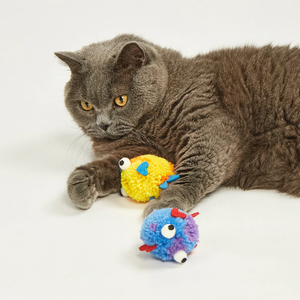 FOFOS Sardine Catnip Cat Toy - 5pcs - Image 2